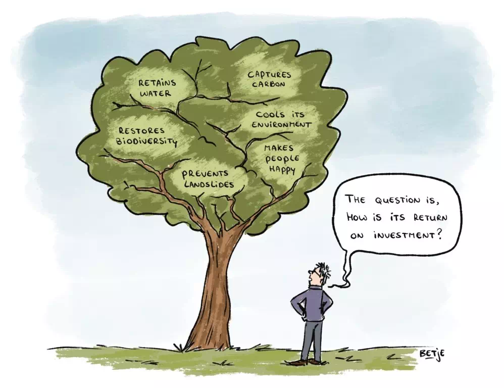 Nature based solution