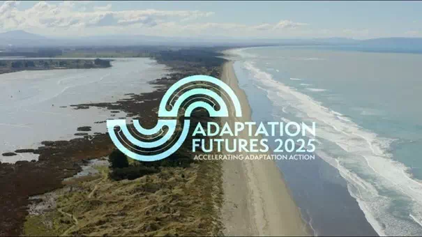 image Adaptation Futures 2025